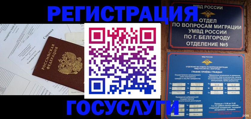 временная прописка в Нелидово